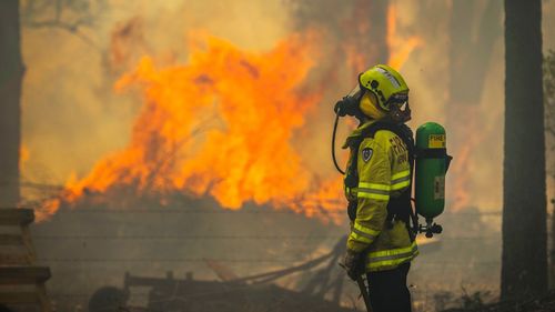 191110 NSW bushfires emergency weather news