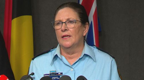 NSW SES Commissioner Carlene York is urging people to prepare. NSW Floods