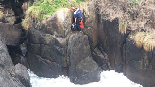 Constable Dave Fitzgerald saved the pup with the help of the Surf Life Saving club. (Tasmania Police)