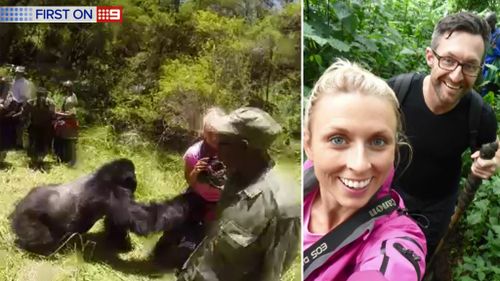 The gorilla charging (left), and Gemma Cosgriff with husband Damian (right). (9NEWS)