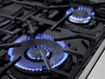 Flames emerge from burners on a natural gas stove.