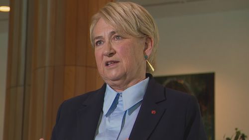 Yeşiller Senatörü Barbara Pocock Parlamento Binası'nda.