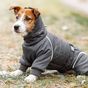 Everything you need to know about dogs and winter jackets