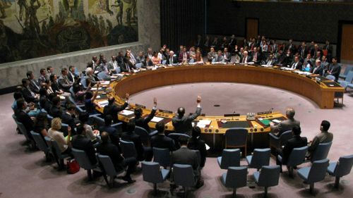 UN Security Council to meet and discuss diplomatic crisis over MH17 disaster