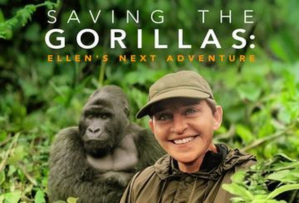 Saving the Gorillas