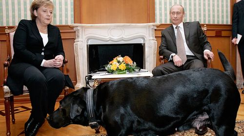 Earlier this year, Putin denied he had used his dog to intimidate Angela Merkel during a 2007 meeting. (AFP)