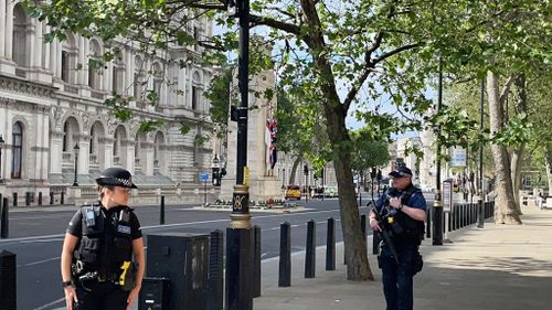 Car crashes into main gates of Downing Street