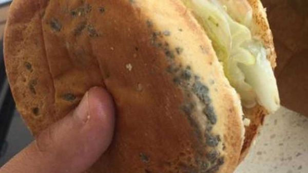 Mouldy burger