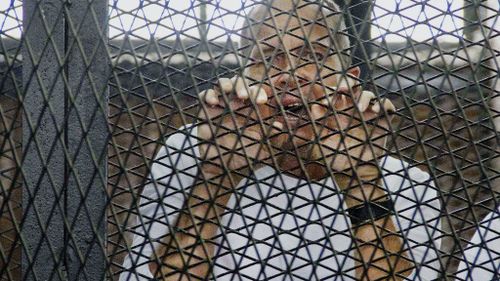 Peter Greste to appeal jail term in Egypt