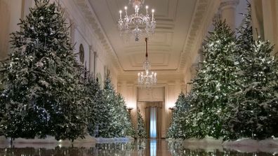 Melania Trump S White House Christmas Decorations Revealed 9homes The Cross Hall Decorated With Nuter Suite Theme Image Carolyn Kaster Ap White House