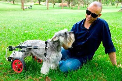 These days Diesel makes music under his birth name, Mark Lizotte. He lives in New York with his wife (Jimmy Barnes's sister-in-law!), their kids and their disabled dog Rufus.