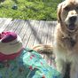 'I spent $200 on my dogs birthday and nothing on my mum's'