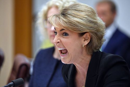 Michalia Cash got heated during the Senate Estimates Hearing. (AAP)