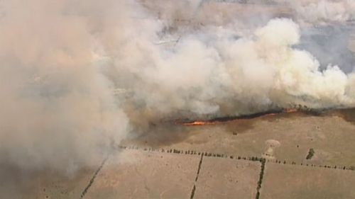 Police fear a blaze that tore through 1240 hectares of land in Little River was deliberately lit.