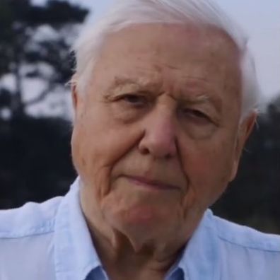 David Attenborough makes his Instagram debut.