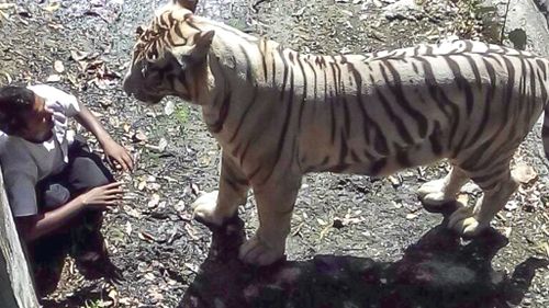 An Indian student has been killed by a white tiger after falling into its enclosure at Delhi Zoo.