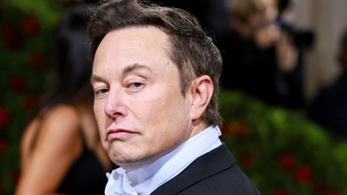 Tesla's billionaire CEO Elon Musk