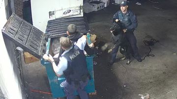 Police captured pulling man from dumpster after alleged armed robbery