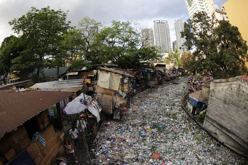 Young Whale Found in Philippines With 88 Pounds of Plastic Bags in Stomach  Died of 'Dehydration and Starvation