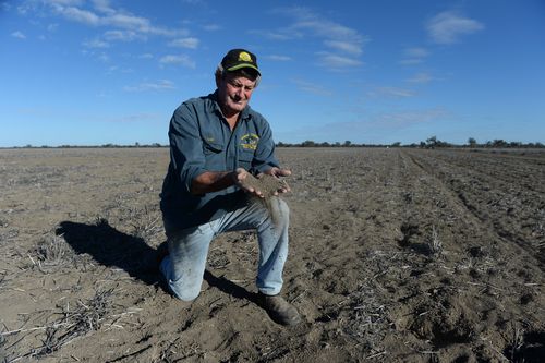 The rain will be welcomed by struggling farmers, but will not break the worst drought in living memory currently gripping Australia.