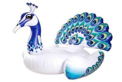 <strong>Flamboyant floatie</strong>