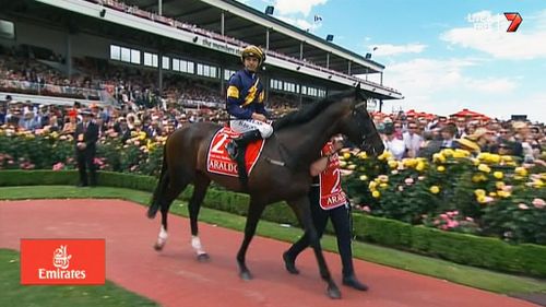 Melbourne Cup overshadowed by death as second horse Araldo euthanised