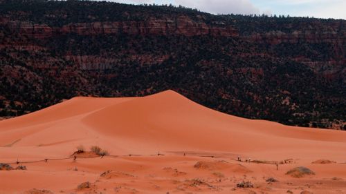 Ian Spendlove, a 13 year old from the St. George suburbs, was pronounced dead on Sunday after not regaining brain activity lost in the incident.