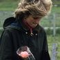 What Princess Diana told royal photographer after sad snap