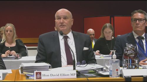 NSW transport minister David Elliott