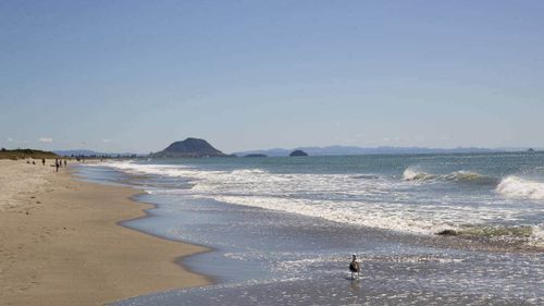 The Bay of Plenty coastline