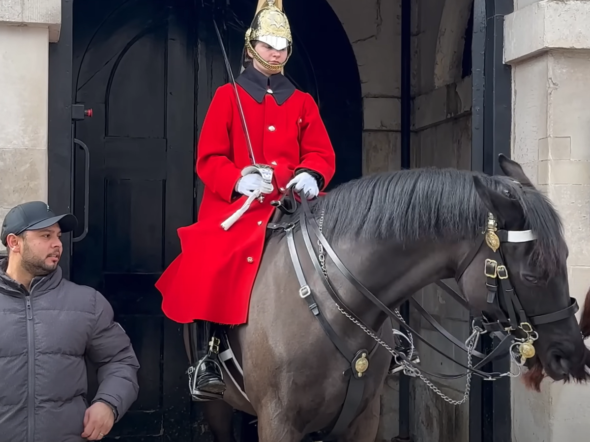 Blues and Royals Trooper of the Household Cavalry at Horse…