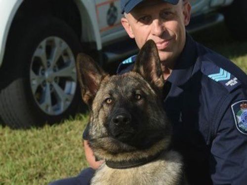 Police dog Rambo and his handler.