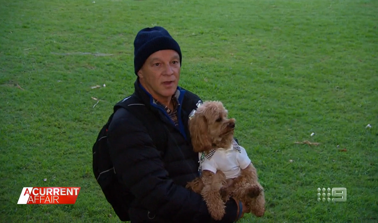 New Court Twist Over Cavoodle Oscar Custody Battle