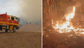 As it happened: Half of Victoria under extreme fire danger warning; Fire burning near Ballarat