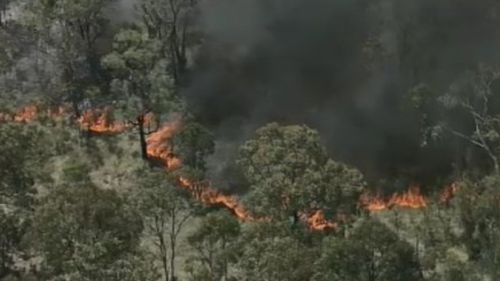 A grass fire is burning out-of-control in Sydney's west. (9NEWS)