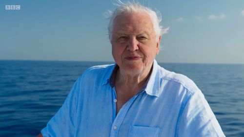 At 91, Sir David Attenborough was still on set for filming as much as he could be. (BBC)