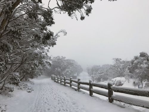 The resort will open a new chair lift