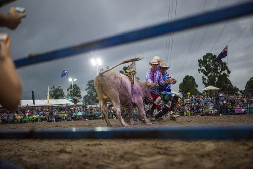 The Eatons Hill Hotel has been staging rodeos for a number of years, with 10 events at venues owned by The Comiskey Group.
