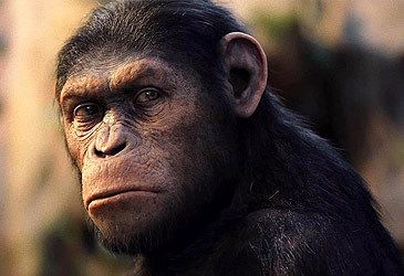 What accounts for the increased intelligence of the apes in 2011's Rise of the Planet of the Apes?