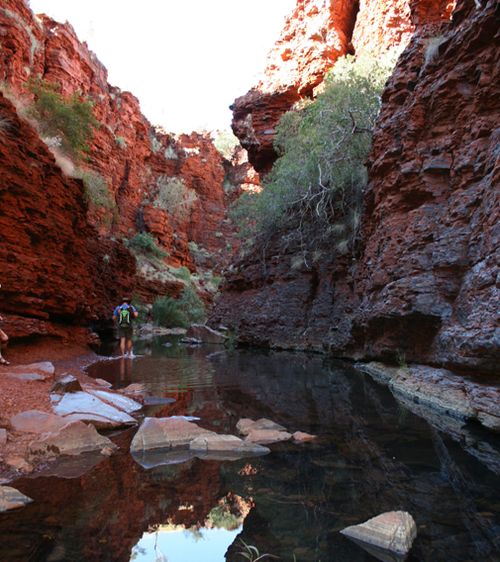 Western Australia tourist drowning Karijini National Park