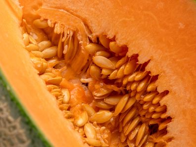 rockmelon close up iStock photo