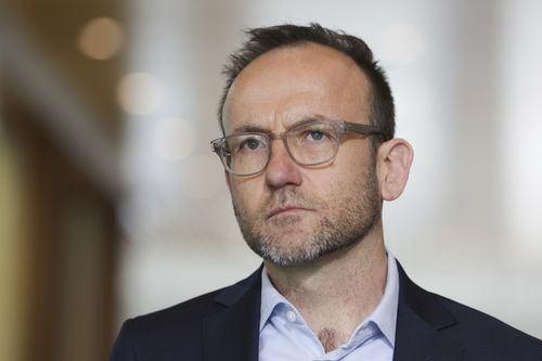 Greens leader Adam Bandt during a press conference at Parliament House in Canberra on Monday 4 November 2024. fedpol Photo: Alex Ellinghausen