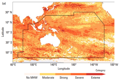 A map showing marine heatwaves in the South-West Pacific in 2024.