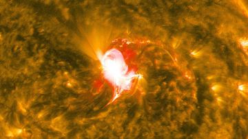 Severe space weather alert as solar storm strikes Earth