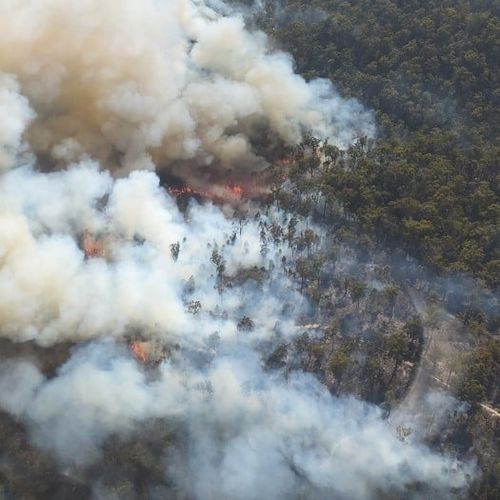 The fire burning near Lebrina has destroyed 1600 hectares. 