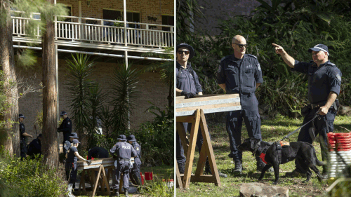 William Tyrrell search November 16