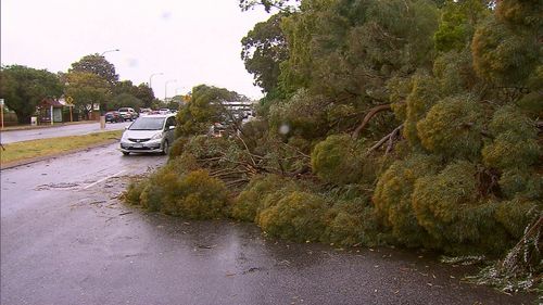 Winds tore down trees, blocking roads.