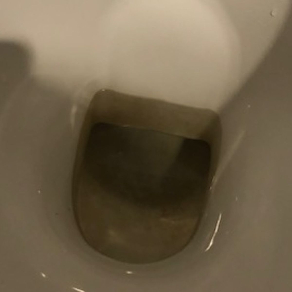 What's Causing The Black Stains In My Toilet Bowl And Tank