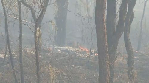 The QFES said the approaching bushfire was unpredictable and dangerous.