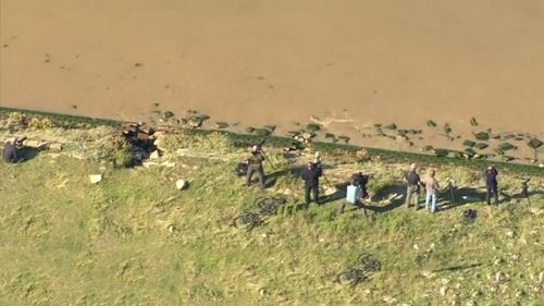 Photographers line the banks of the Thames to snap the whale.